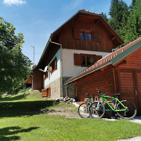 Pohorje House 2 Four Appartmetns Oplotnica Exteriér fotografie