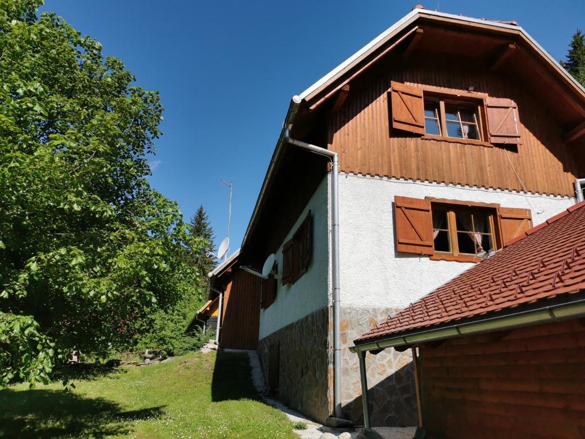 Pohorje House 2 Four Appartmetns Oplotnica Exteriér fotografie