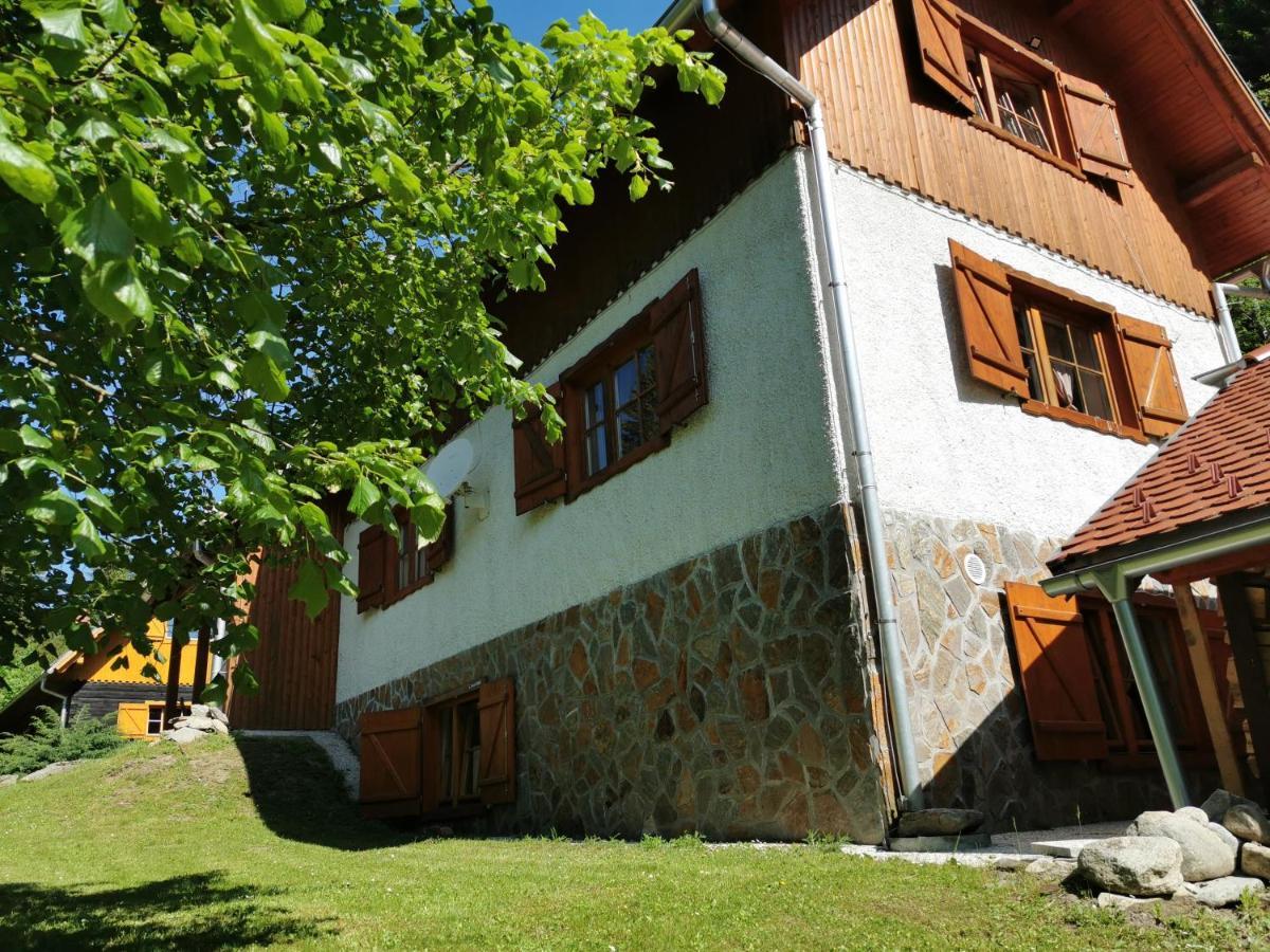 Pohorje House 2 Four Appartmetns Oplotnica Exteriér fotografie
